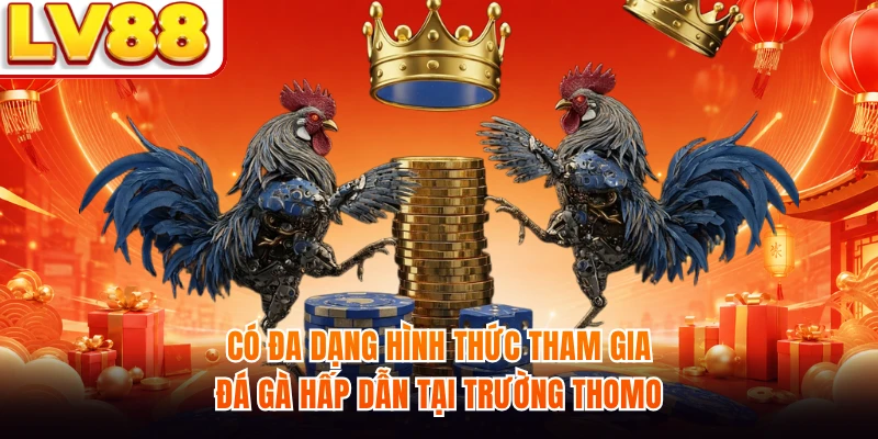 Có đa dạng hình thức tham gia đá gà hấp dẫn tại trường Thomo