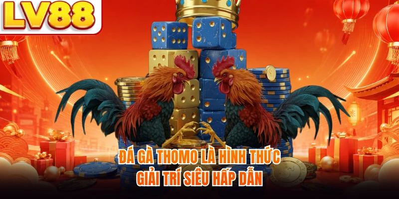 Đá gà Thomo là hình thức giải trí siêu hấp dẫn